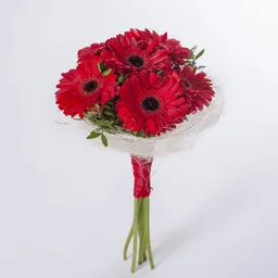 Bouquet De Gerbera Roja