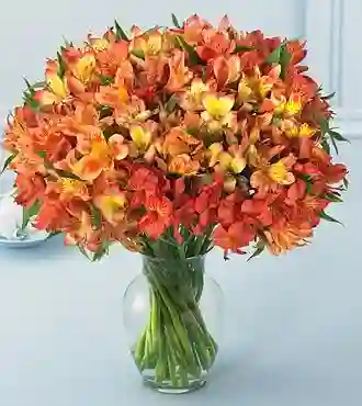 Jarrón De Astromelia Naranja