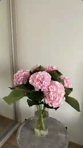 Jarrón De Hortensia Rosada