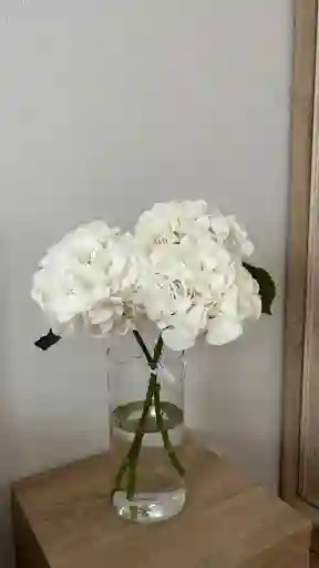 Jarrón De Hortensia Blanca
