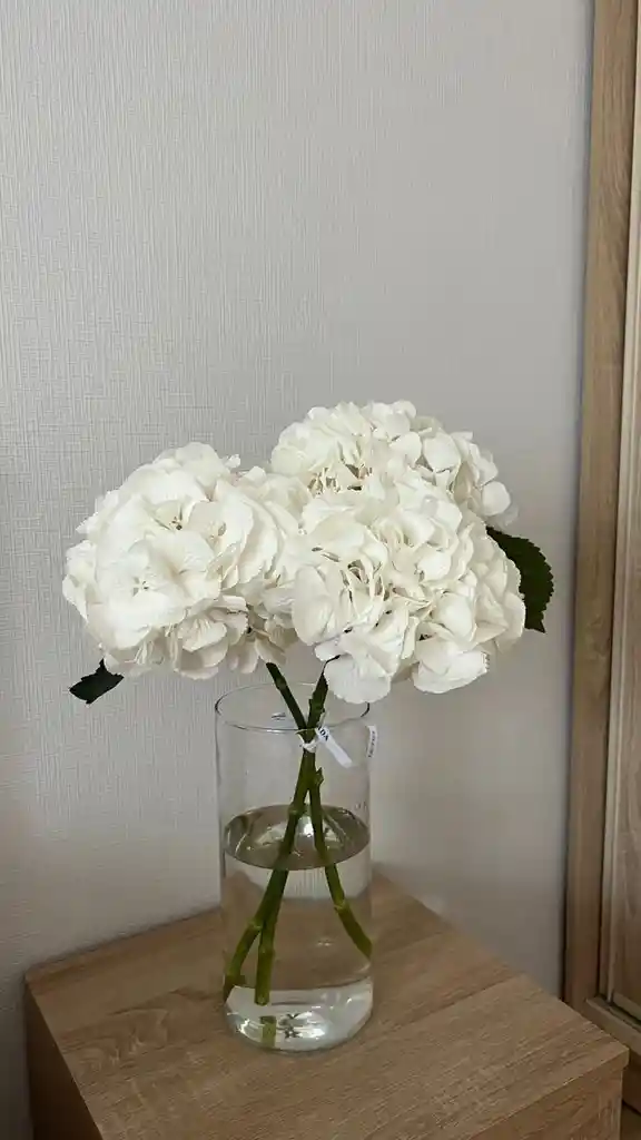 Jarrón De Hortensia Blanca