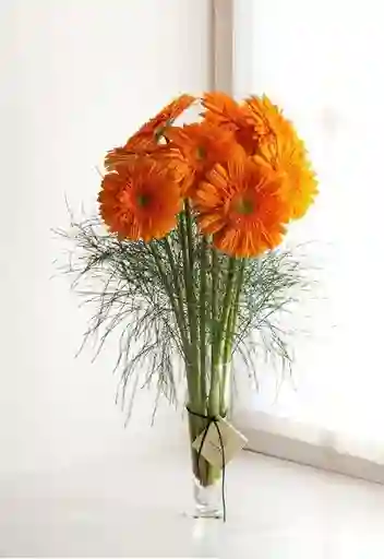 Jarrón De Gerberas Naranjas