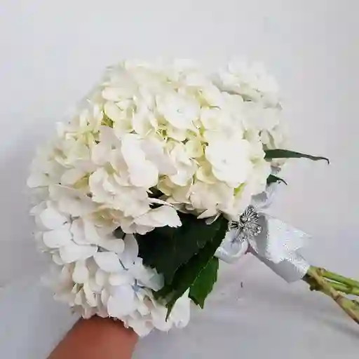 Bouquet De Hortensia Blanca