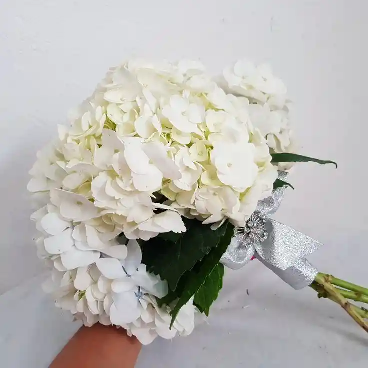 Bouquet De Hortensia Blanca