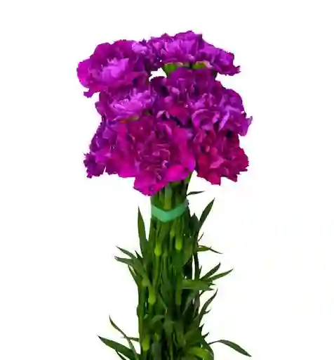 Bouquet De Clavel Morado