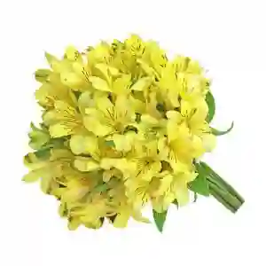 Bouquet De Astromelia Amarilla