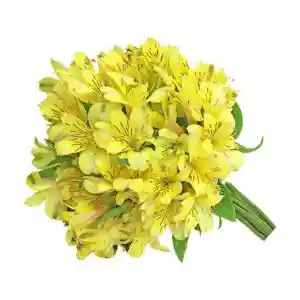 Bouquet De Astromelia Amarilla