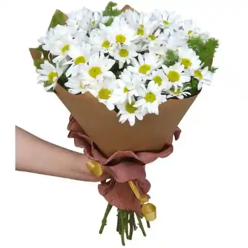 Bouquet De Margaritas Blancas