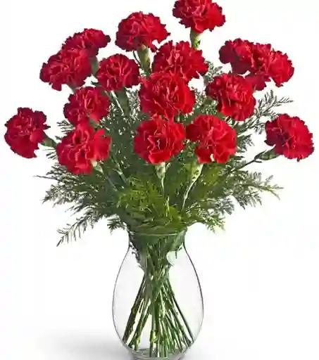 Jarrón De Claveles Rojos