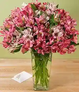 Jarrón De Astromelia Rosada