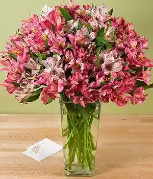 Jarrón De Astromelia Rosada