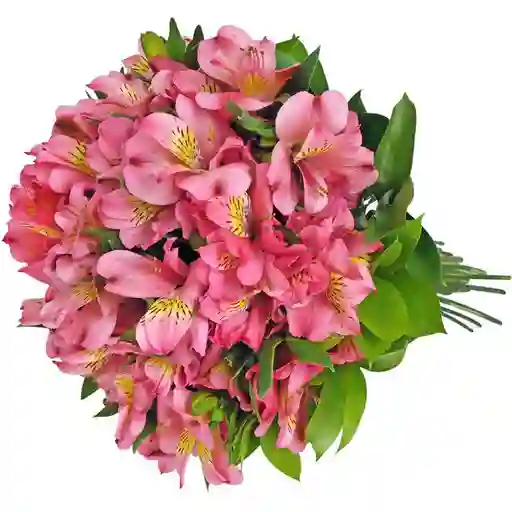 Bouquet De Astromelia Rosada