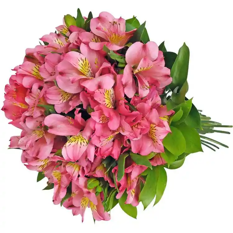 Bouquet De Astromelia Rosada