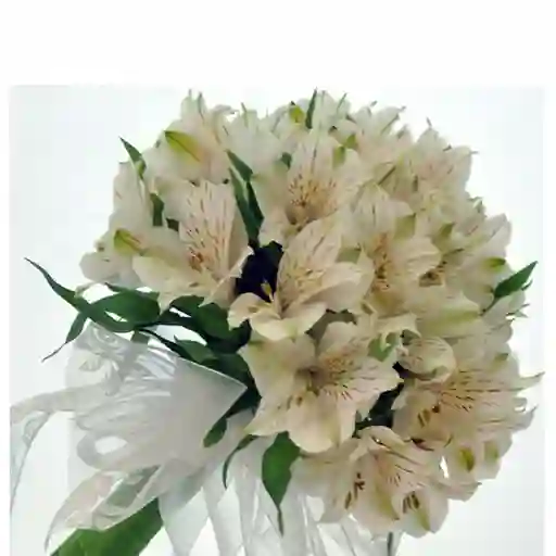 Bouquet De Astromelia Blanca