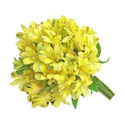 Bouquet De Astromelia Amarilla
