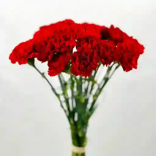 Bouquet De Clavel Rojo