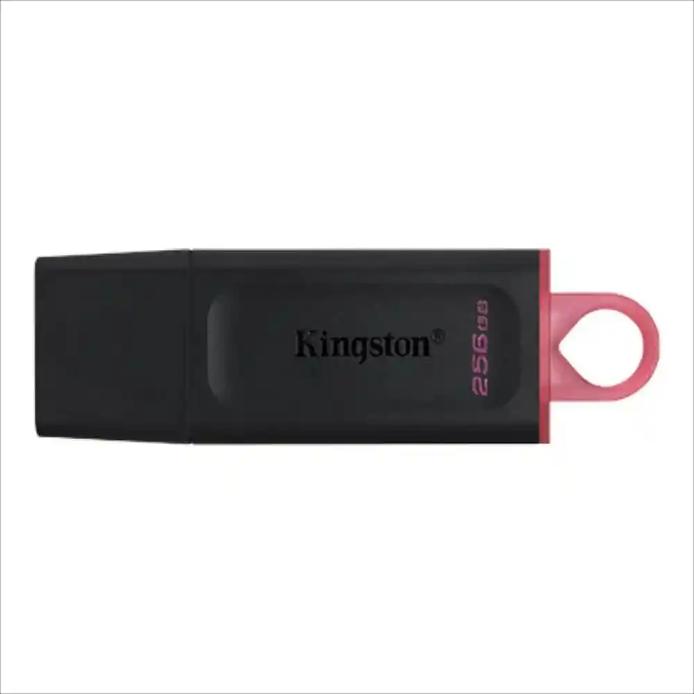 Memoria Usb Kingston Datatraveler Exodia 256gb Usb 3.2 Original
