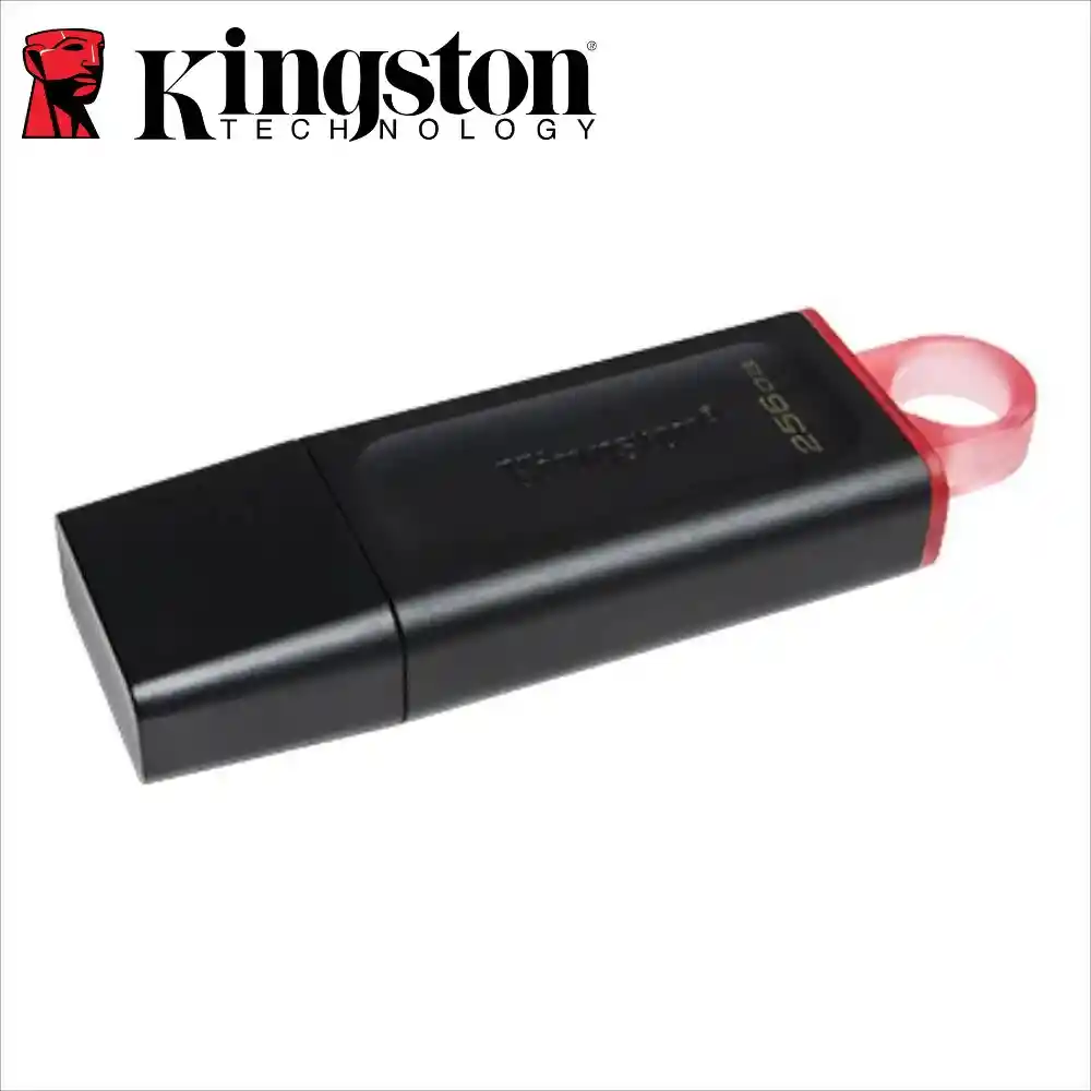Memoria Usb Kingston Datatraveler Exodia 256gb Usb 3.2 Original