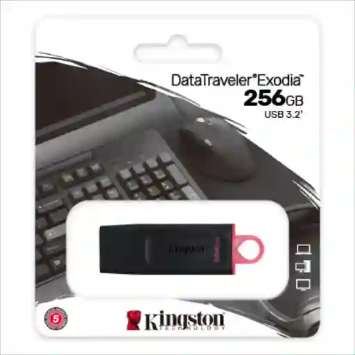 Memoria Usb Kingston Datatraveler Exodia 256gb Usb 3.2 Original