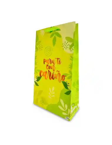 Bolsa De Regalo