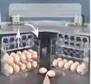 Organizador De Huevos 30 Espacios Con 3 Niveles