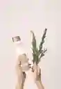 Acondicionador Milagro Herbal