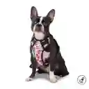 Arnes De Caminata Pechera Heikul Disney Minnie Mouse M