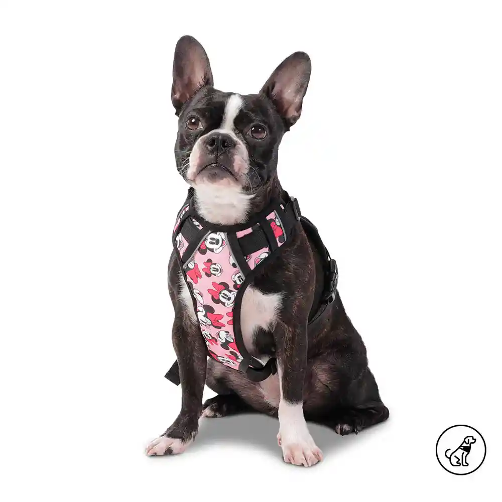 Arnes De Caminata Pechera Heikul Disney Minnie Mouse M