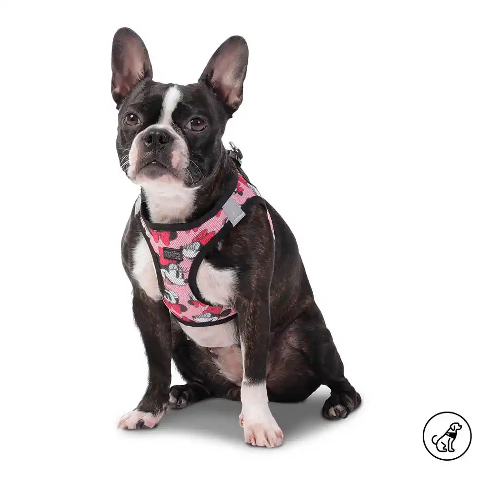 Arnes De Caminata Pechera Toby Disney Minnie Mouse M