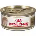 Royal Canin Pomeranian Lata 85g 3oz