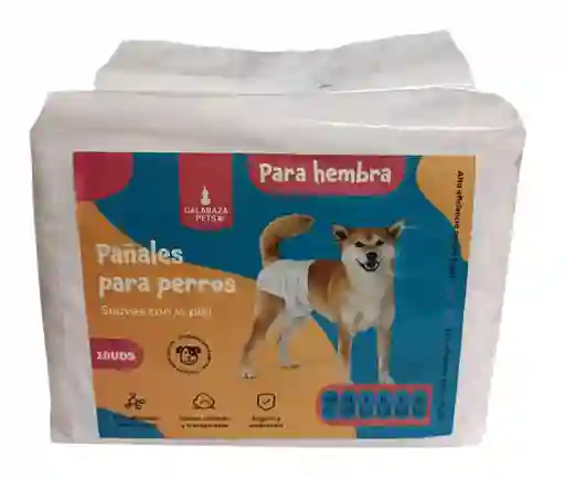 Pañal Para Hembra Calabaza T Xs X 10un