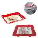 2 X Bandeja De Conservación De Alimentos Reutilizable