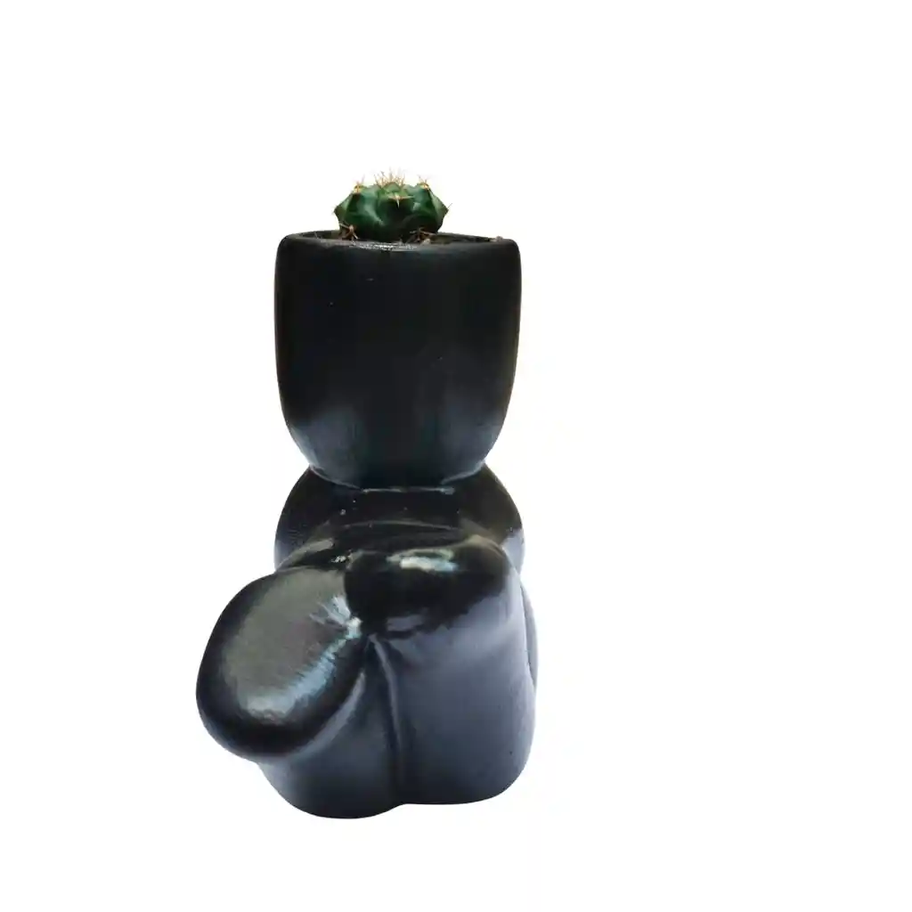 Humanoide Acostado Ceramica,cactus Gymnocalycium Marsoneri