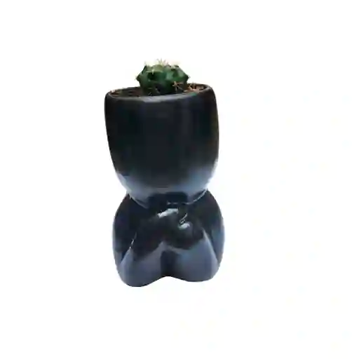 Humanoide Acostado Ceramica,cactus Gymnocalycium Marsoneri
