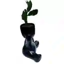 Humanoide Abrazo Ceramico, Cactus Brasiliopuntia Brasiliensis
