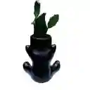 Humanoide Abrazo Ceramico, Cactus Brasiliopuntia Brasiliensis