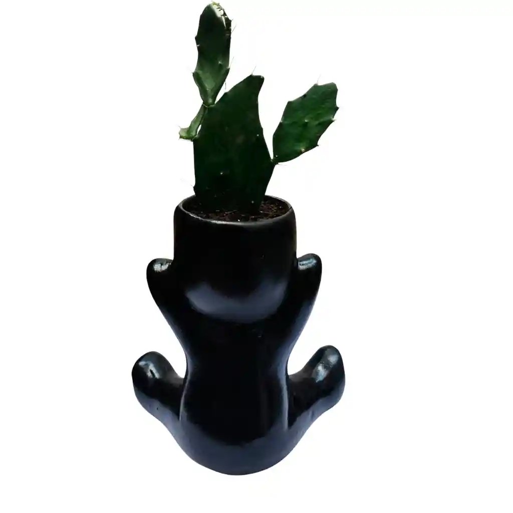 Humanoide Abrazo Ceramico, Cactus Brasiliopuntia Brasiliensis