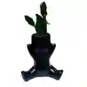 Humanoide Abrazo Ceramico, Cactus Brasiliopuntia Brasiliensis