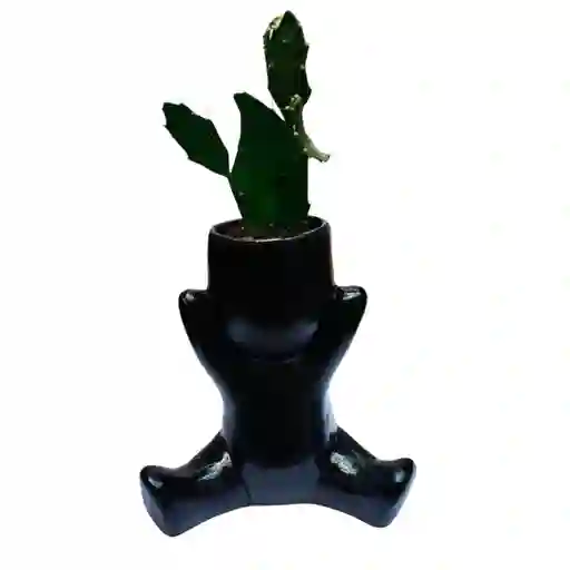 Humanoide Abrazo Ceramico, Cactus Brasiliopuntia Brasiliensis
