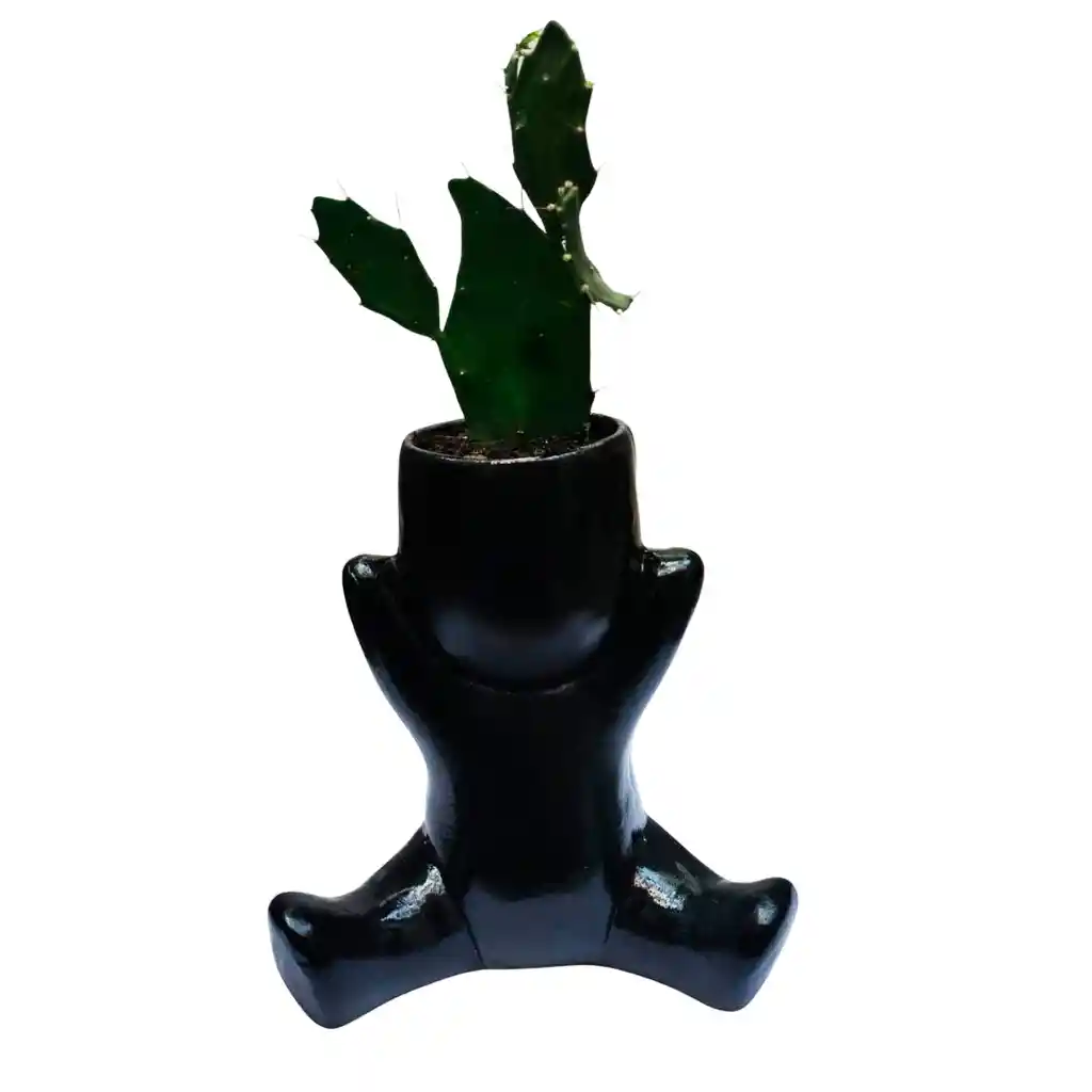 Humanoide Abrazo Ceramico, Cactus Brasiliopuntia Brasiliensis