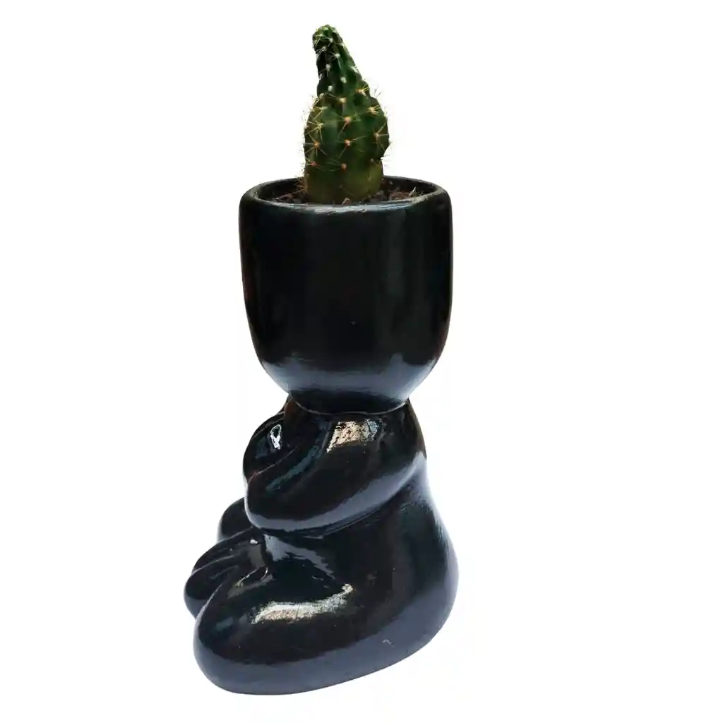 Humanoide Yoga Ceramico, Cactus Echinopsis