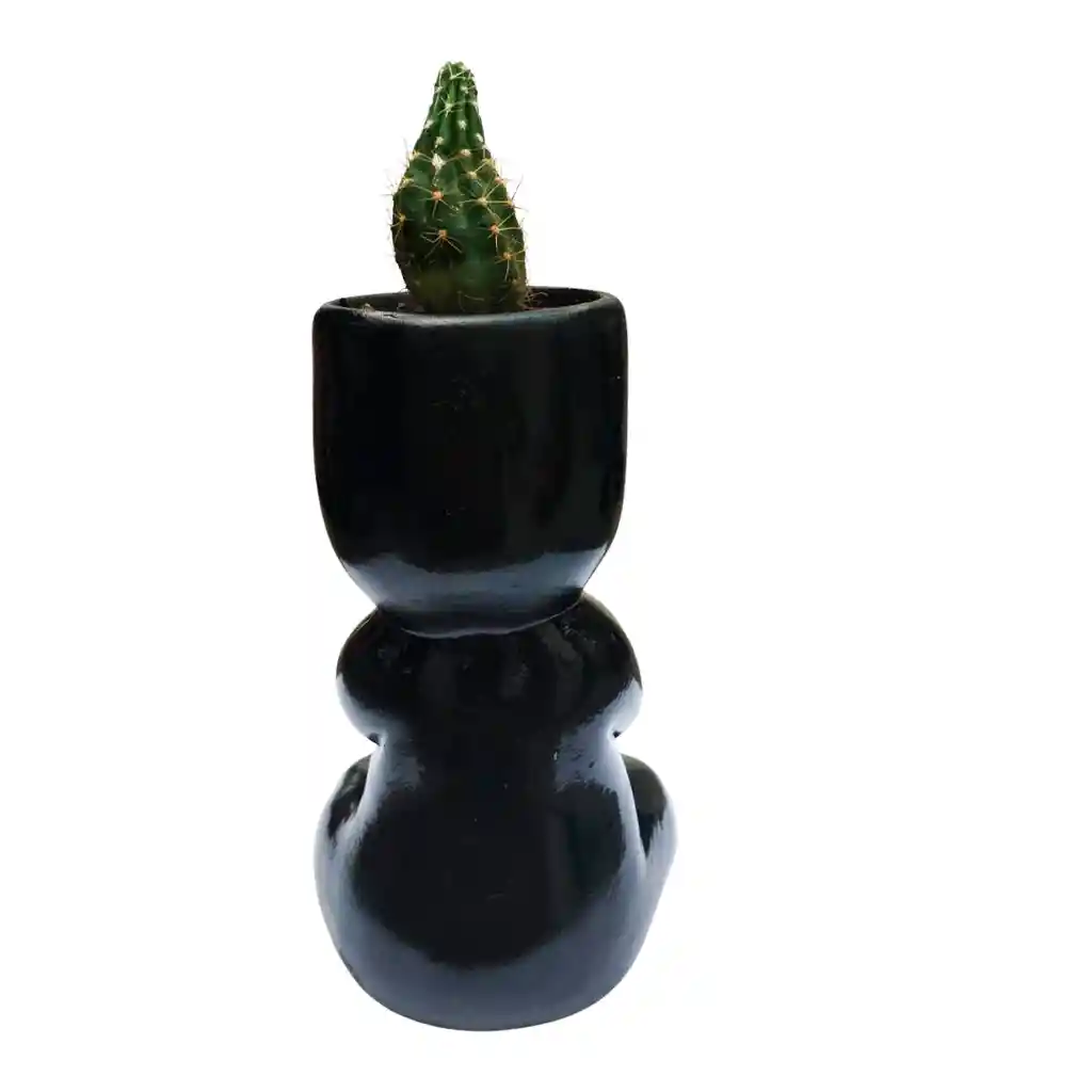 Humanoide Yoga Ceramico, Cactus Echinopsis