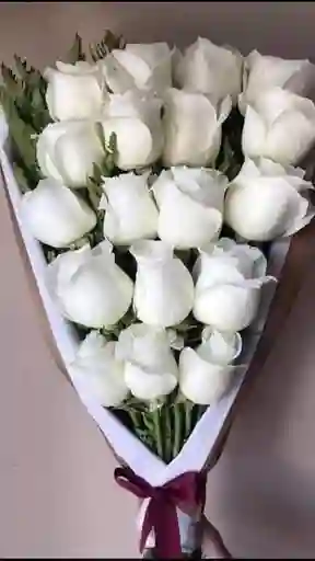 Ramo Reina