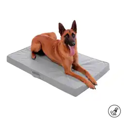Cama Danko M