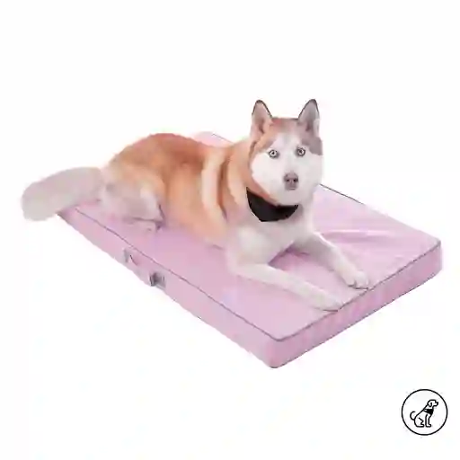 Cama Danko L