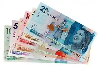 Billetes Didacticos En Pesos