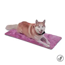 Cama Portatil Sherpy L	7704758743013