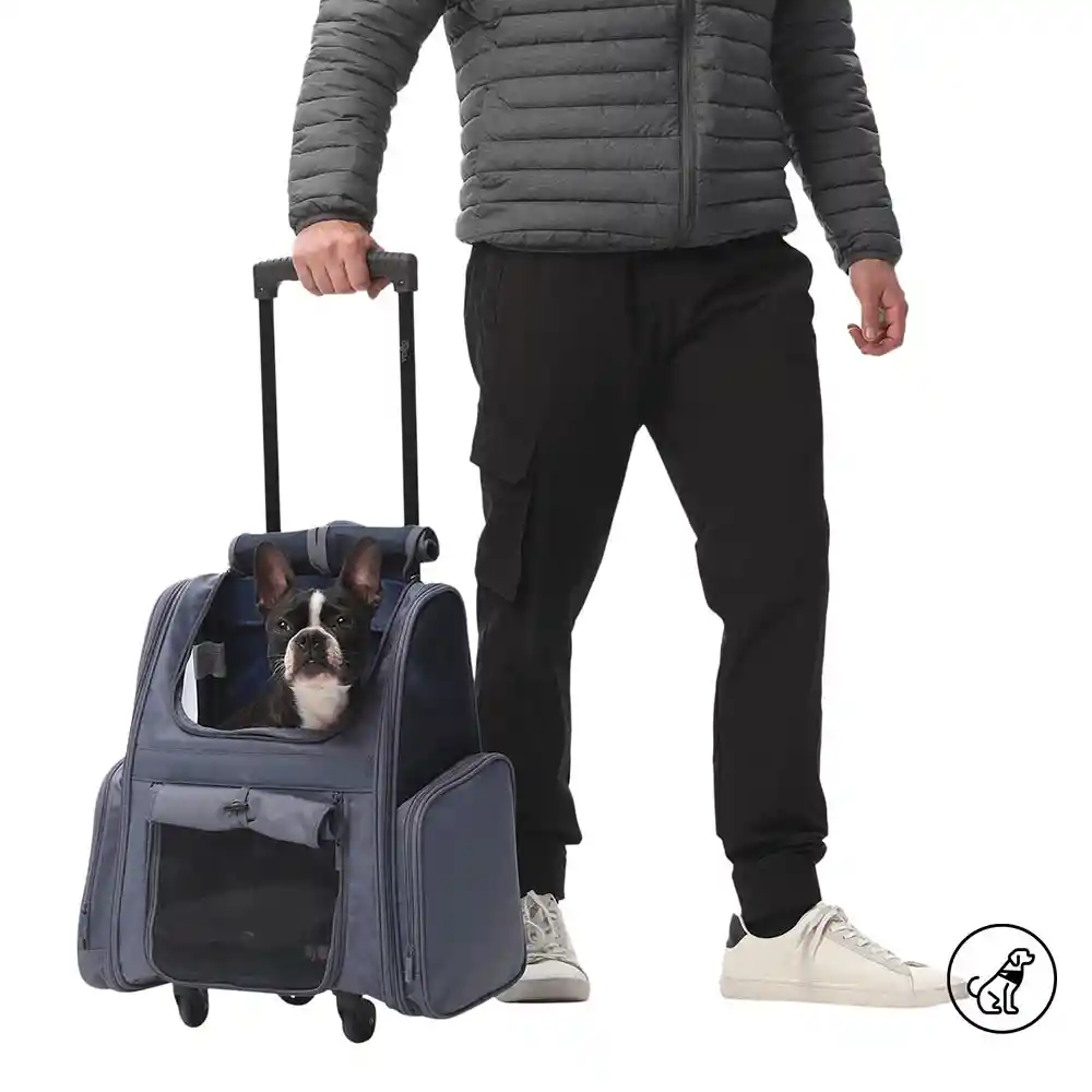 Morral Rue Mascota Maxxie