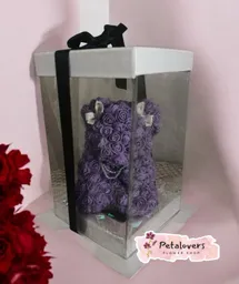 Flores Rosas Moradas