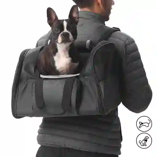 Morral Cargador De Mascota Rocco